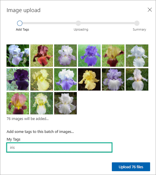 Images with tag Iris