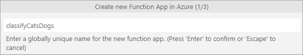 Enter a globally unique name for the function app